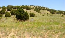 Lot 75 Twin Butte Estate Beulah, CO 81023