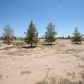 4195 S Mammoth Drive, , AZ 85193 ID:760753