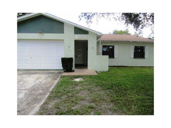 11004 Peppertree Ln, Port Richey, FL 34668