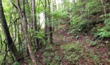 Lot 224 Ph4 Balsam Mountain Preserv Sylva, NC 28779