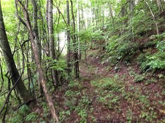 Lot 224 Ph4 Balsam Mountain Preserv, Sylva, NC 28779