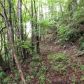 Lot 224 Ph4 Balsam Mountain Preserv, Sylva, NC 28779 ID:949000