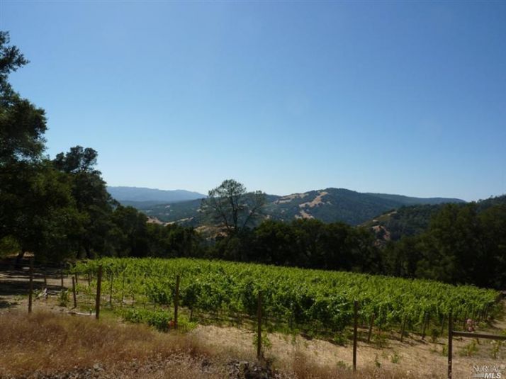 0 Hennessey Ridge Rd, Saint Helena, CA 94574