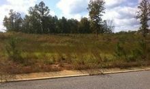 Belle Meade Cir Lot 3 Northport, AL 35475