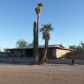 40174 Kansas Avenue, Tacna, AZ 85352 ID:990936