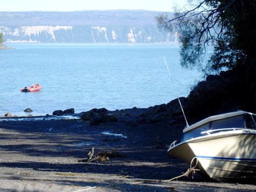 Bear Cove, Homer, AK 99603