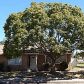 681 W Santa Barbara Street, Santa Paula, CA 93060 ID:953145