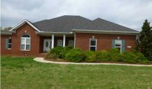 128 Toney Acres Dr Toney, AL 35773