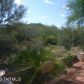 13447 N Heritage Canyon D, Marana, AZ 85658 ID:981680