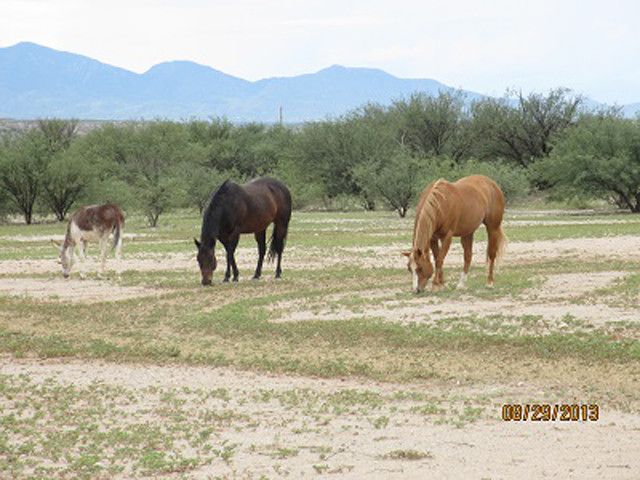 2617 N Ocotillo Road, Benson, AZ 85602