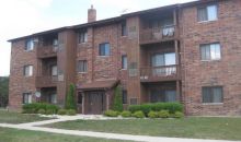 15701 Peggy Ln Apt 9 Oak Forest, IL 60452