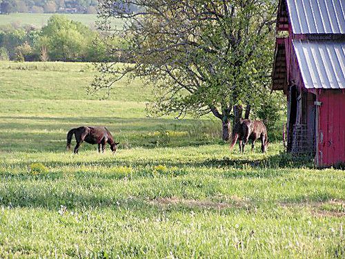 Jacks Branch Rd., Spencer, TN 38585