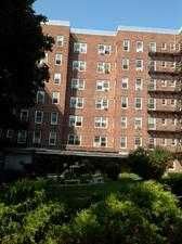 8450 169th St Apt 517, Jamaica, NY 11432