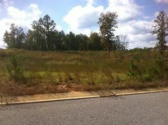 Belle Meade Cir Lot 3, Northport, AL 35475