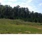 Belle Meade Cir Lot 3, Northport, AL 35475 ID:947526