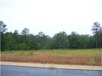 Well Creek Ln Lot 27, Ralph, AL 35480