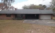 41041 Whilden Ln Leesburg, FL 34788