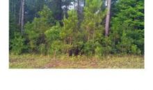 Lot 36 Wilkins Creek Ct Spanish Fort, AL 36527