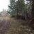 Nhn Lot 8 Fallingreen Estates (Apn# Friday Harbor, WA 98250