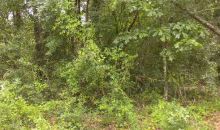 0 County Rd 40 Bay Minette, AL 36507