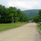 Lot 39 Pebble Creek Drive, Mountain View, AR 72560 ID:1165561