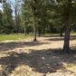 251 Jimmy Mitchell Rd, Mountain View, AR 72560 ID:1170833