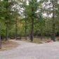 3075 S Hwy 9, Salem, AR 72576 ID:1165741