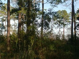 Lot 2 Beach Rd, Theodore, AL 36582