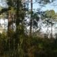 Lot 2 Beach Rd, Theodore, AL 36582 ID:1050669