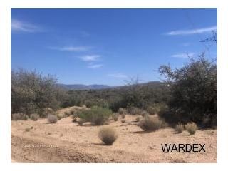 PAR 029C SPRING VALLEY DR, Hackberry, AZ 86411