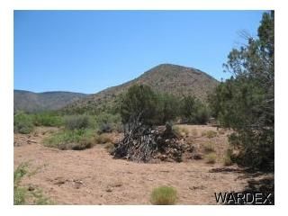 0000 N Stipa Rd, Hackberry, AZ 86411