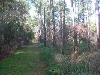 Lot 3 Beach Rd, Theodore, AL 36582