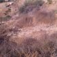 0 Vacant Lot, Chino Hills, CA 91709 ID:1133086