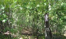 16.38 Acres Layer Lane Harrisburg, AR 72432