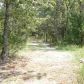 Lts 367-69 &447 Court Loop Loop, Horseshoe Bend, AR 72512 ID:1169832