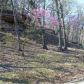 6.193 acre Honey Creek Rd, Eureka Springs, AR 72631 ID:1167096