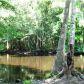 0 BOBS LAKE RD, Summerville, SC 29483 ID:1090912