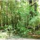 0 BOBS LAKE RD, Summerville, SC 29483 ID:1090914