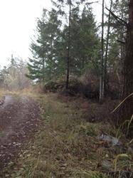 Nhn Lot 8 Fallingreen Estates (Apn#, Friday Harbor, WA 98250