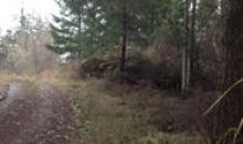 Nhn Lot 8 Fallingreen Estates (Apn# Friday Harbor, WA 98250