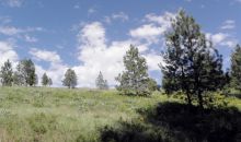 Lot 37 Pilgrim Ridge Road White Bird, ID 83554