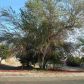 223 W Cano St, Somerton, AZ 85350 ID:1233459