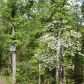 Lot 63 Ferncrest Estates, Little Rock, AR 72223 ID:1093799