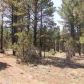 311-01-013A, Show Low, AZ 85901 ID:1320114