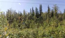 2900 Max Loop North Pole, AK 99705