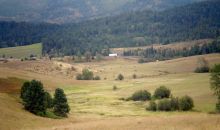 5862 MINALOOSA VALLEY RD Plummer, ID 83851