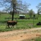 18136 S 127 Highway, Marshall, AR 72650 ID:1163937