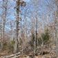 Lt 6 Diamond Bay Road, Midway, AR 72651 ID:1153790