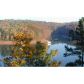 1081 Chestatee Point, Dawsonville, GA 30534 ID:1393850