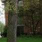 249 Vine Avenue Unit D, Park Ridge, IL 60068 ID:111213